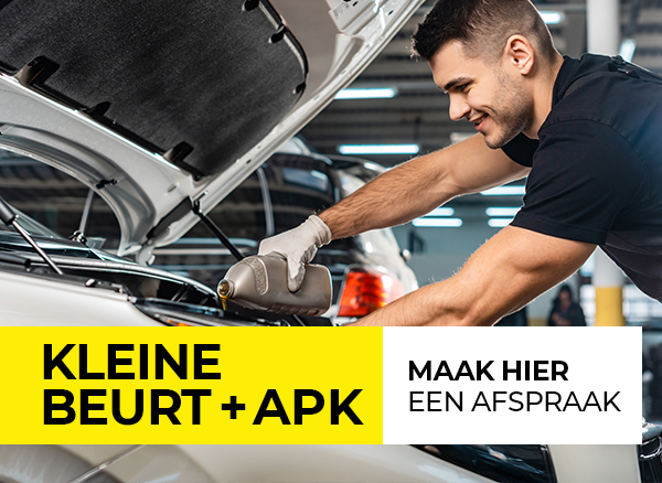 Kleine Beurt incl. APK va € 218,-<br />(4 cil. Benzine)